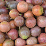 High Yield Passionfruit Vine Live Plant, Trellis Fruit Vine, 4-6 Inch Tall