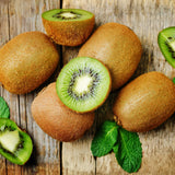 2 Kiwi Tree Live Plants, Cold Hardy Kiwi Plants Live Vine from 5 Inc Tall