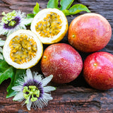 Red Passion Fruit Vine Live Plant, Fruit Vine Plant, 4-6 Inch Tall
