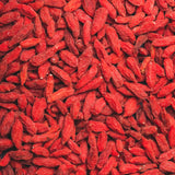 2 Goji Berry Plants, Sweet Edible Fruit, 4-6 Inch Tall