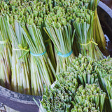 600 Lemongrass Seeds for Planting, Starter Plant