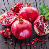 Live Pomegranate Plant, Indoor Outdoor Plant, 4-7 Inch Tall